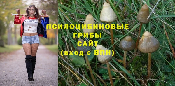 мескалин Богородицк