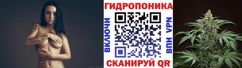 Каннабис план  Буйнакск 